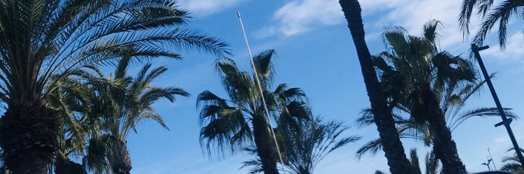 omolarday_'s profile banner image