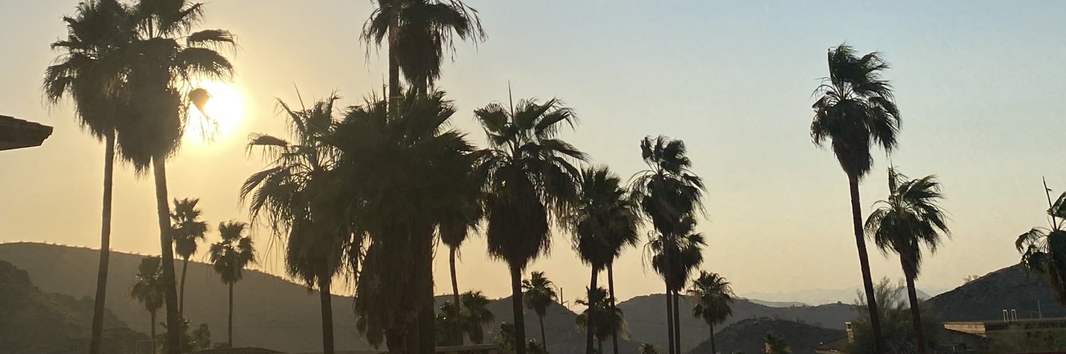 Desi_Rodriguez1's profile banner image