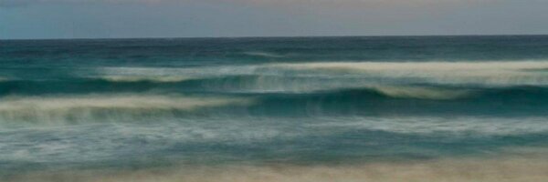 legroni Profile Banner