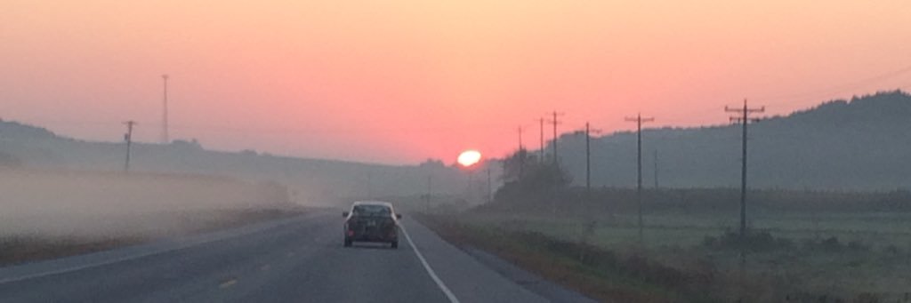 SunflowerMama🌻🪷 banner