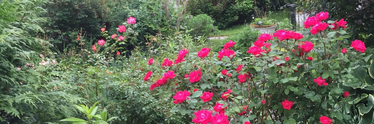 Nancy S Vann, Esq. (JD) banner