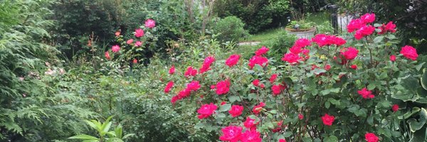 NSVann Profile Banner