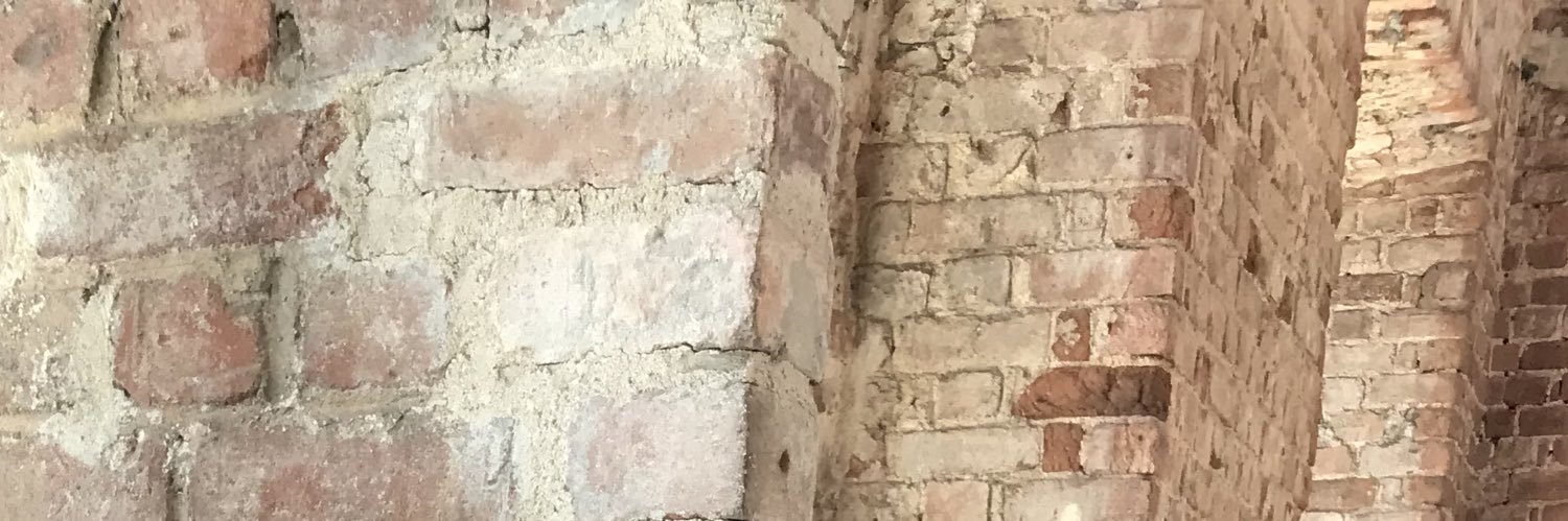 BmorpH banner