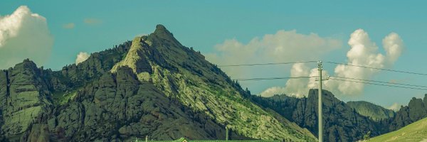 zoomoni3 Profile Banner