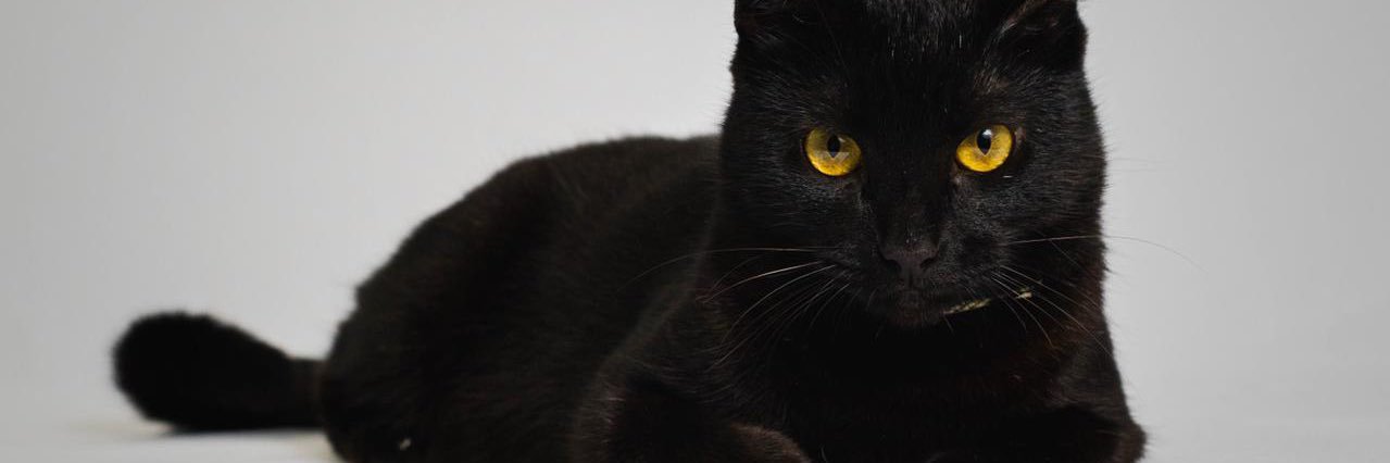 JuanchiGuzman's profile banner image
