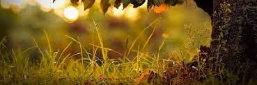 BravoMariah's profile banner image