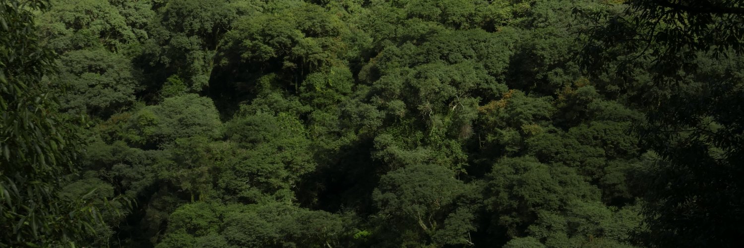 Fernando Zerboni banner