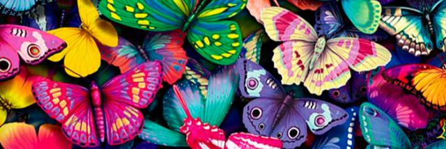 EliArrabal's profile banner image