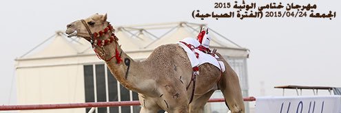 alameri72's profile banner image