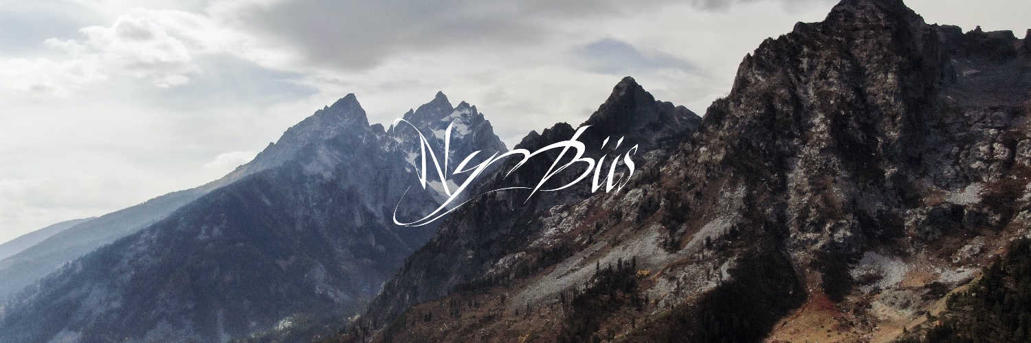 nymbiis's profile banner image