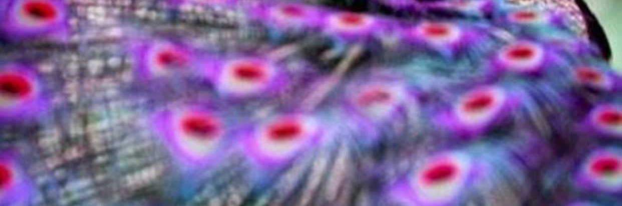 k_7272's profile banner image