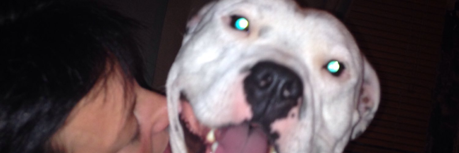 tracy1371's profile banner image