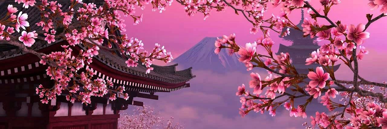 CrystalRose5691's profile banner image
