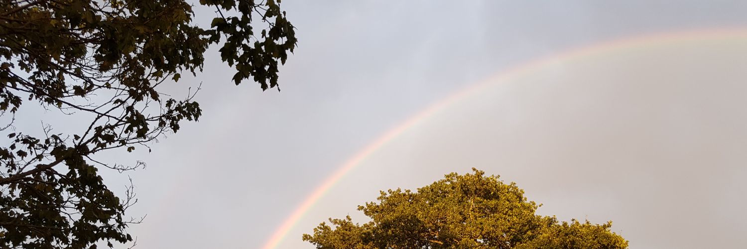 SandholmJerry's profile banner image