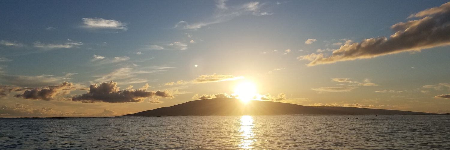vincetoves's profile banner image