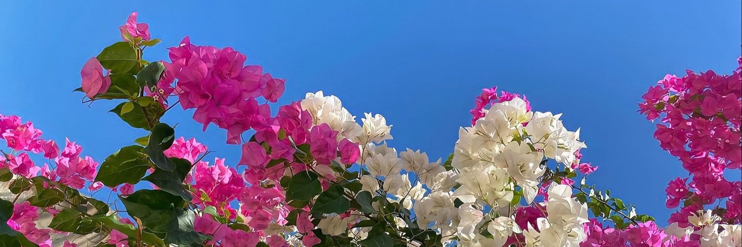 karimemolinam's profile banner image