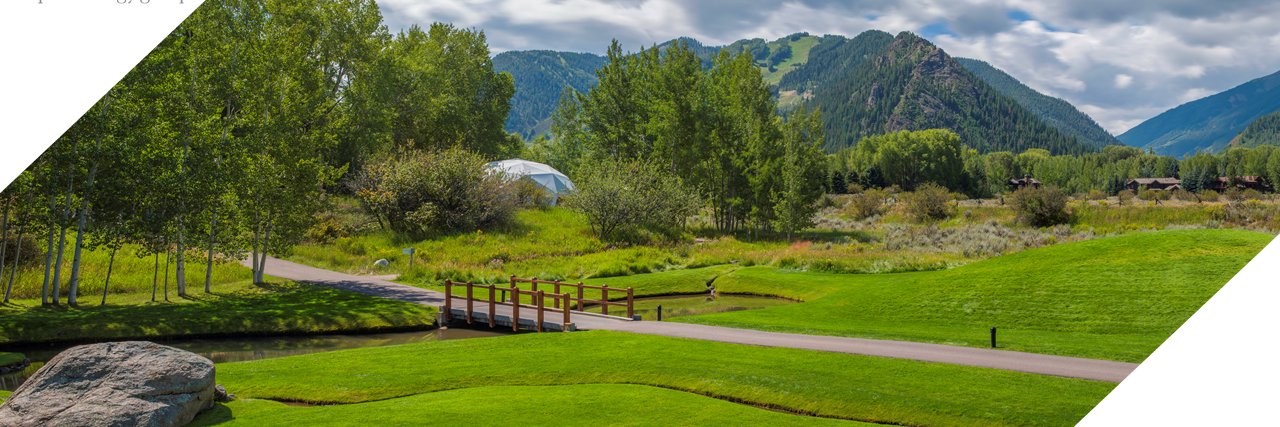 Diana Farrell banner