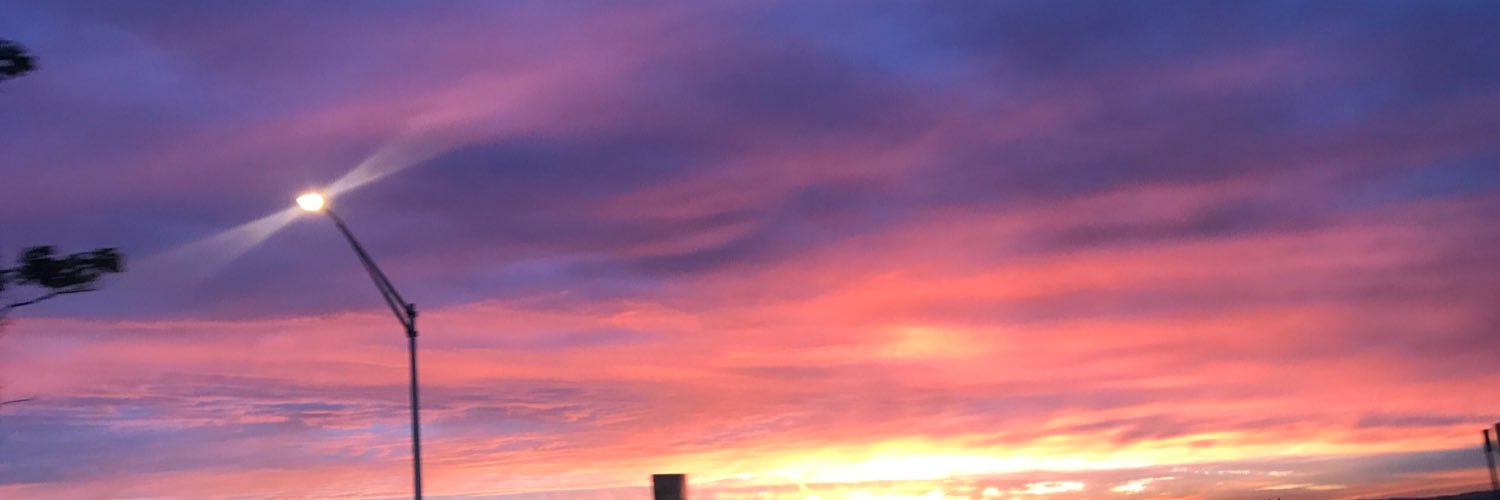 RosyRofail's profile banner image