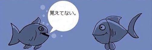 o0use0o's profile banner image