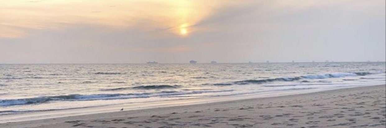 S banner