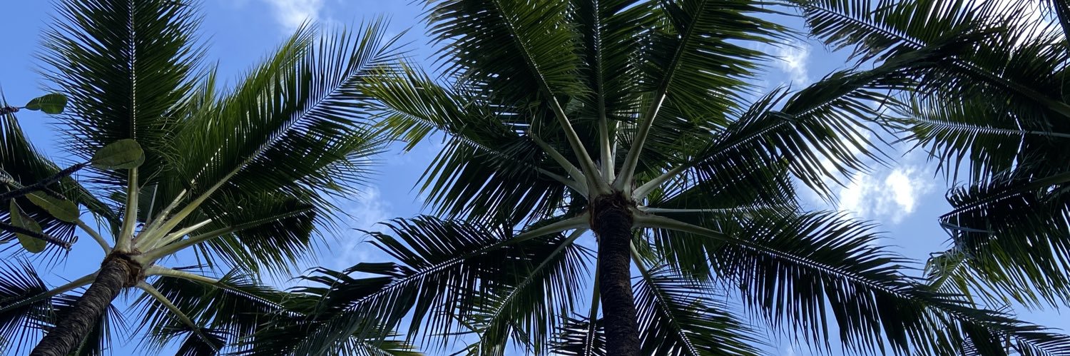 RK banner