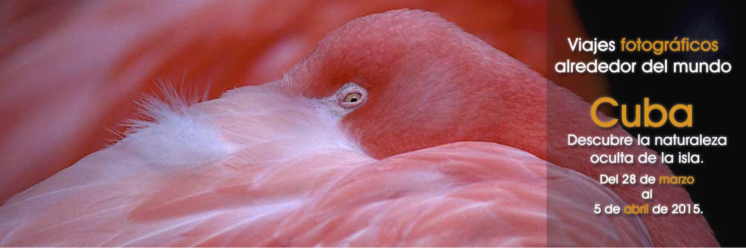 Austral_Photo's profile banner image