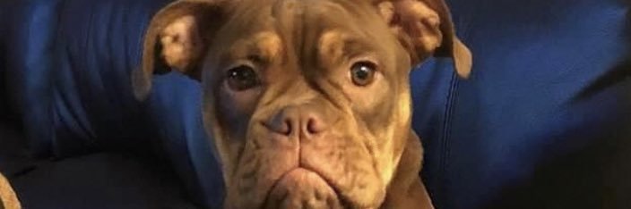 PMissyL's profile banner image