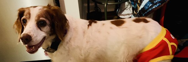 summersba Profile Banner