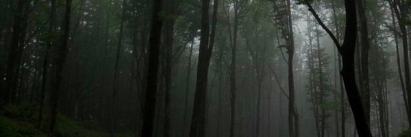 rozllvx Profile Banner