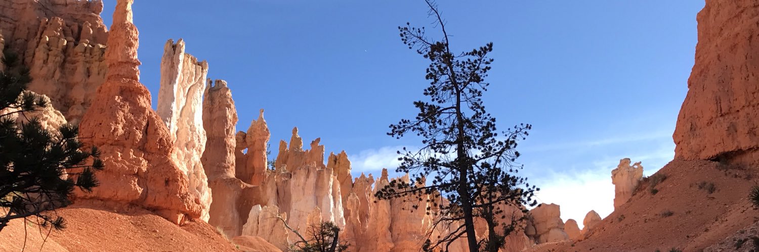 MatthewMcFalls's profile banner image