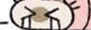 Muggle's banner