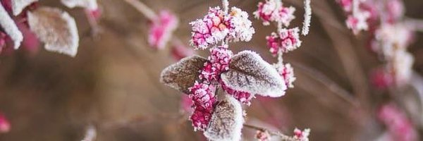 PosSpeakin Profile Banner