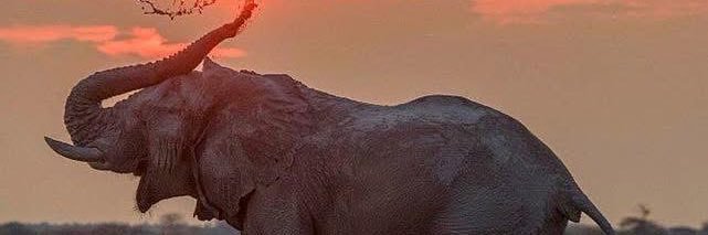 aidaSnz's profile banner image