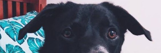 MrBadbottom's profile banner image