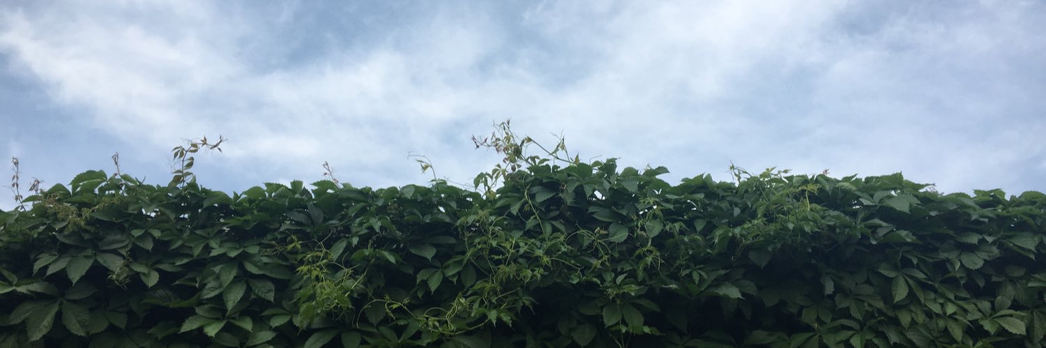 TheIndoMexican's profile banner image