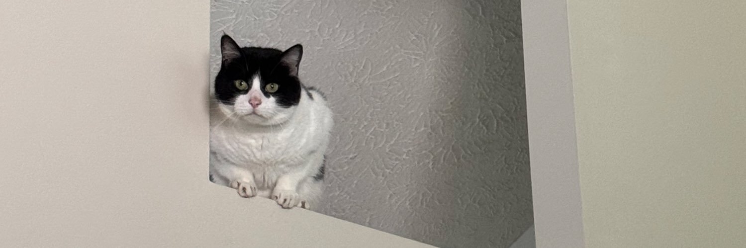 deep bibble 🍉 banner