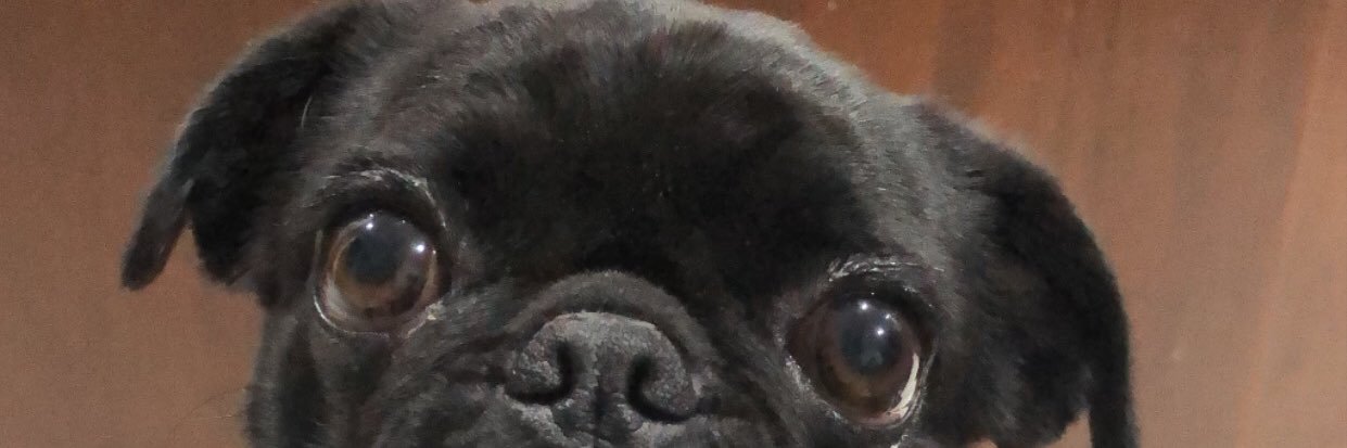 adrianazg's profile banner image