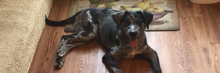 Thechazbrown4's profile banner image