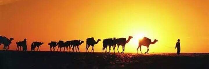 TurkiDethan7's profile banner image