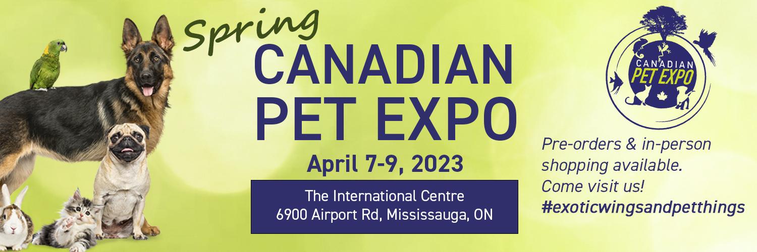 exoticwingspets's profile banner image