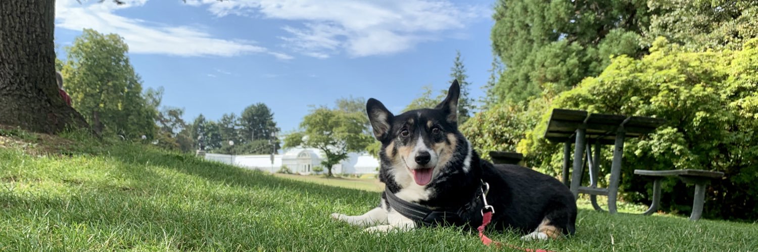 @JosephMSchultz.bsky.social banner