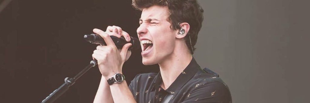 mendesbabe07's profile banner image