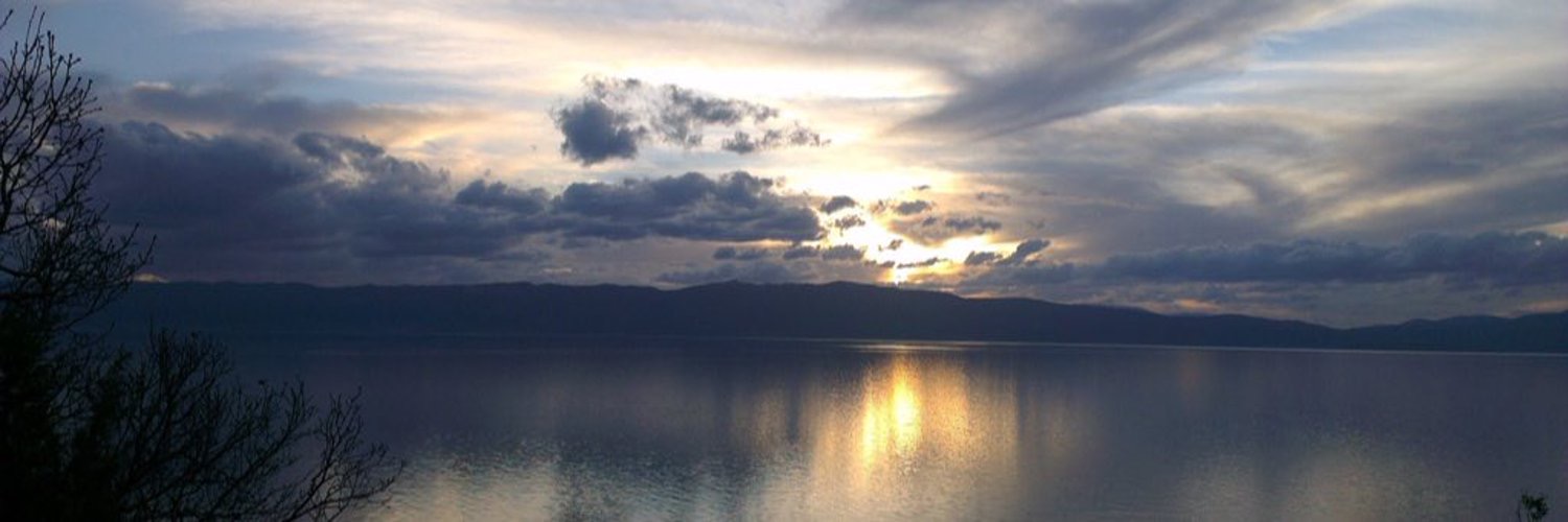 Mirela Riveni's banner