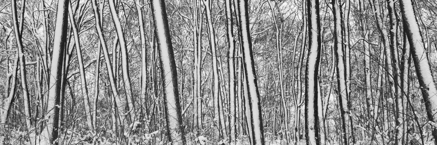 Anton Savchenko banner