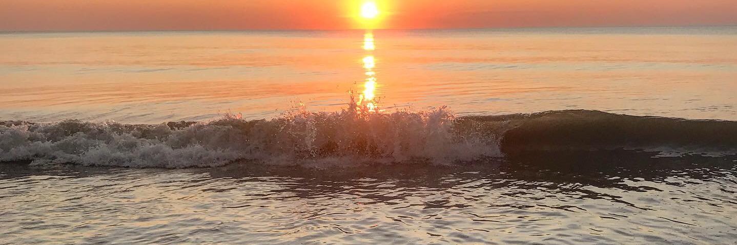 Suzanne Flach banner