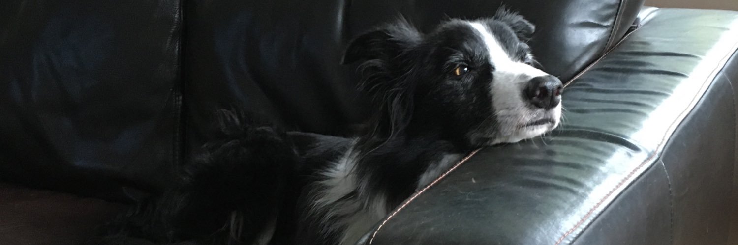 Timothy Peters banner