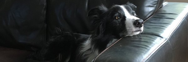 TPeters_Music Profile Banner