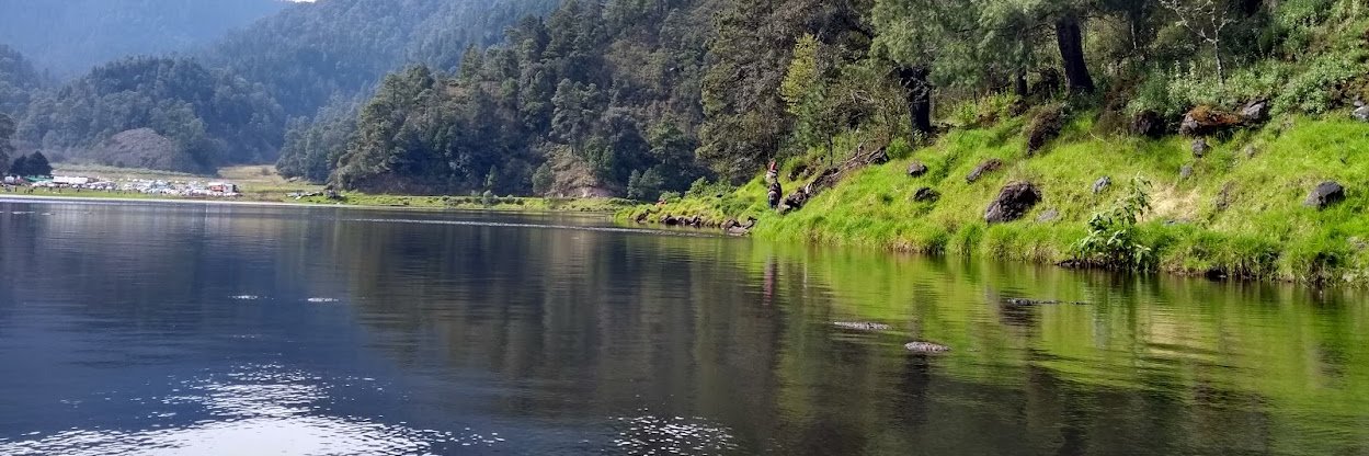 Alejandro Martínez banner