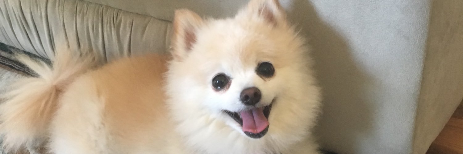 filbroke's profile banner image