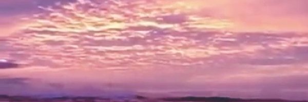 Zamangwe0311 Profile Banner